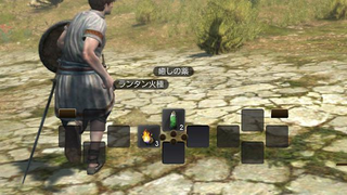 Illustration for article titled Why People Say Dragon's Dogma Online Looks Like Final Fantasy XIVÂ